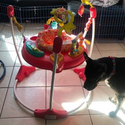 Free I Bought It For My Grand Daughter But To High For Her 