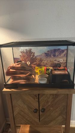 10 gallon terrarium, stand & supplies