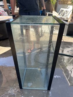 40 Gallon Tank