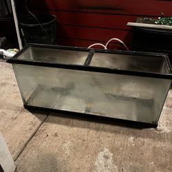 60 Gallon Glass Fish-tank 