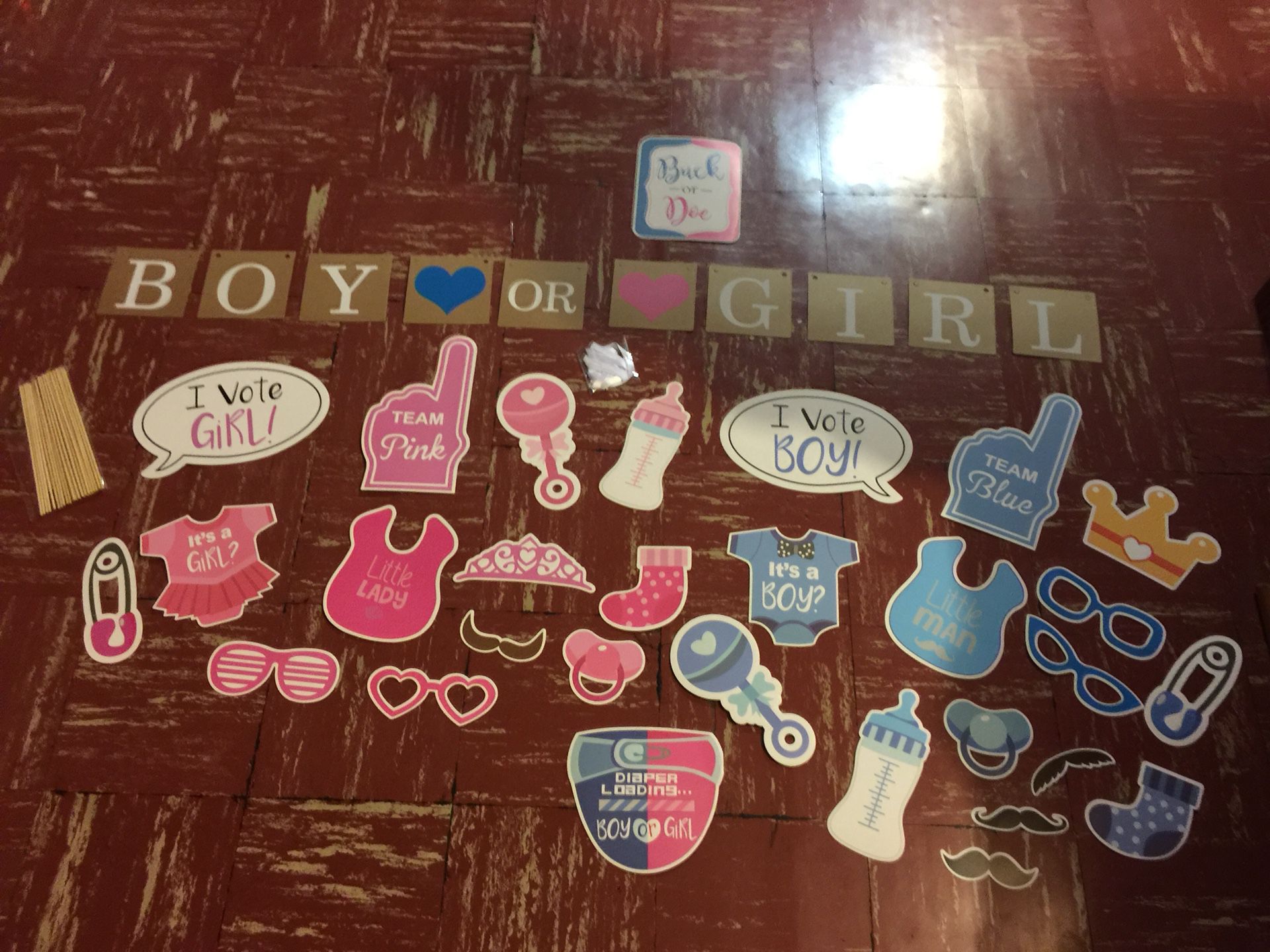 Gender Reveal Party Decorations - Boy or Girl
