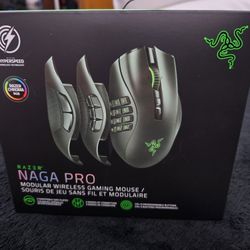 Razer Naga Pro Wireless Mouse