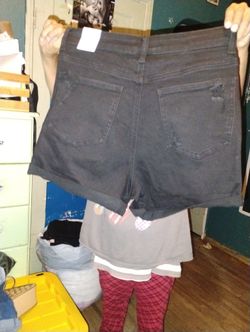 Black Short Size Large