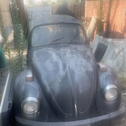 1972 Vw Beetle