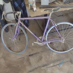 Nishiki Bike Olympic 12