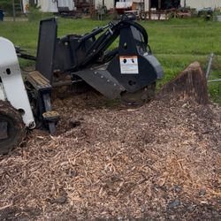 Stump Grinder