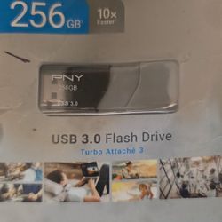 Pny 256gb Flashdrive 