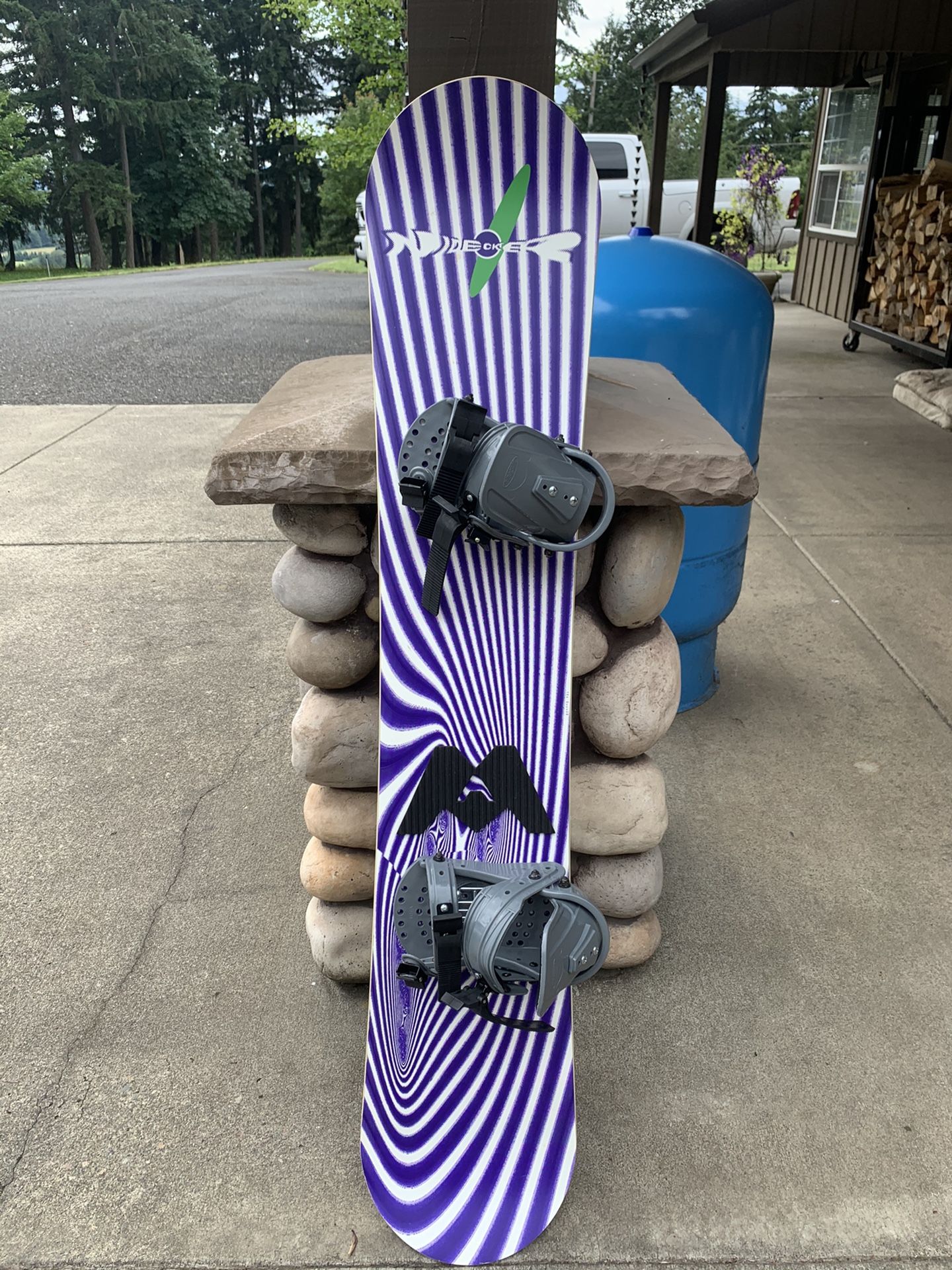 Snowboard with snowboard bag