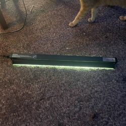 Reptile Light 