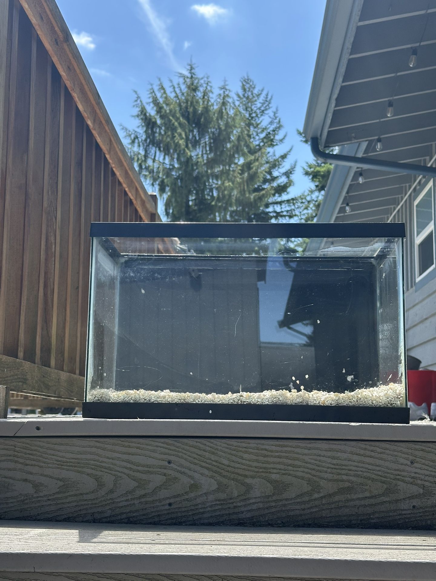 Fish Tank
