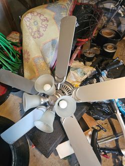 Ceiling fan