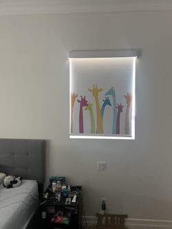 Window Roller Shades - Kids Room