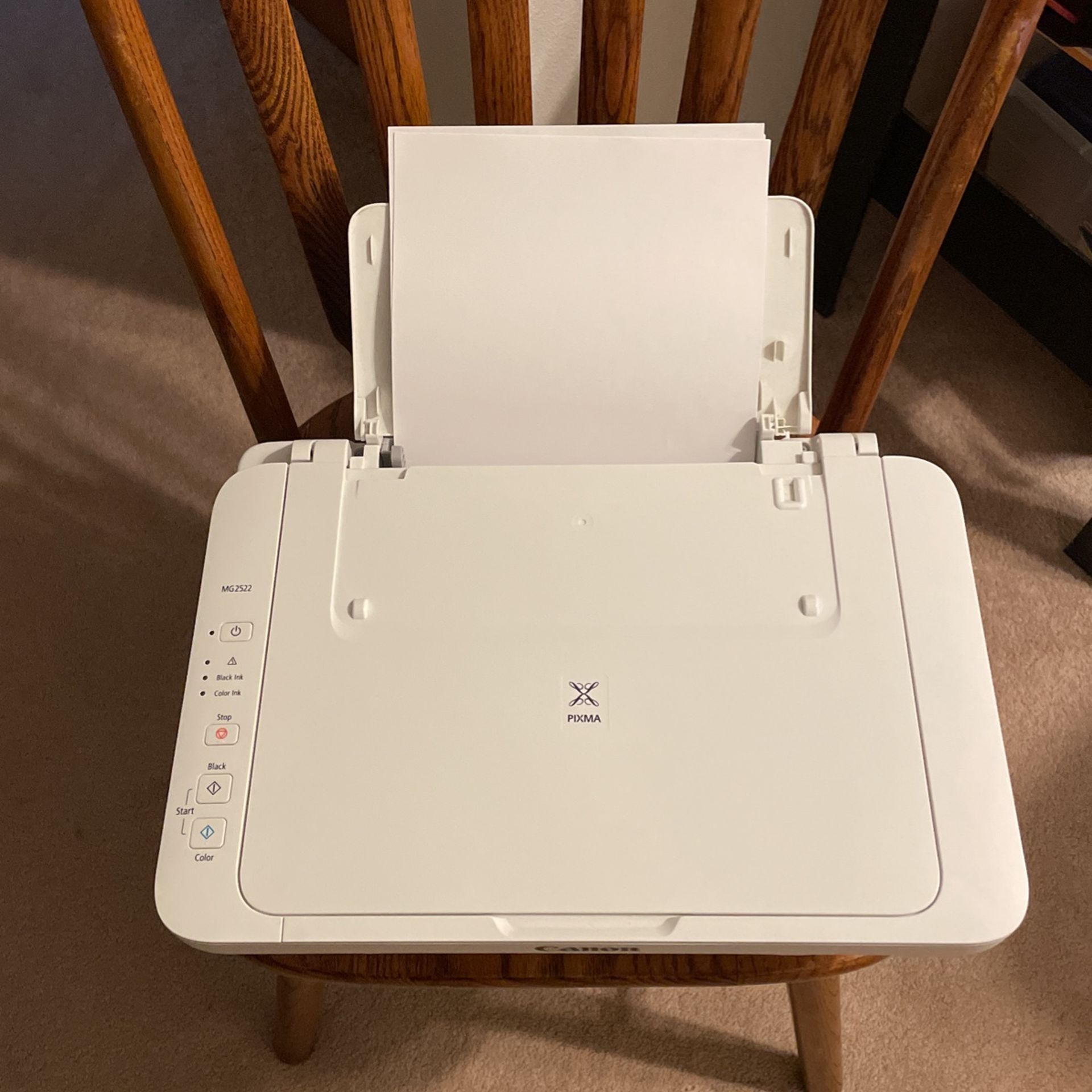 Canon PIXMA MG2522