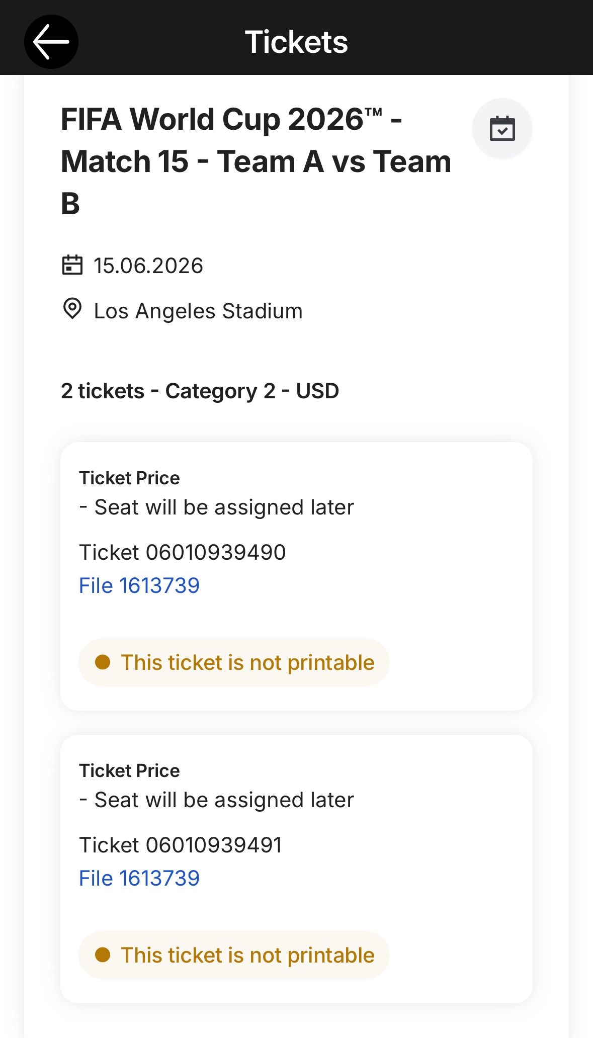 2026 FIFA World Cup Tickets - Los Angeles 6/15/26
