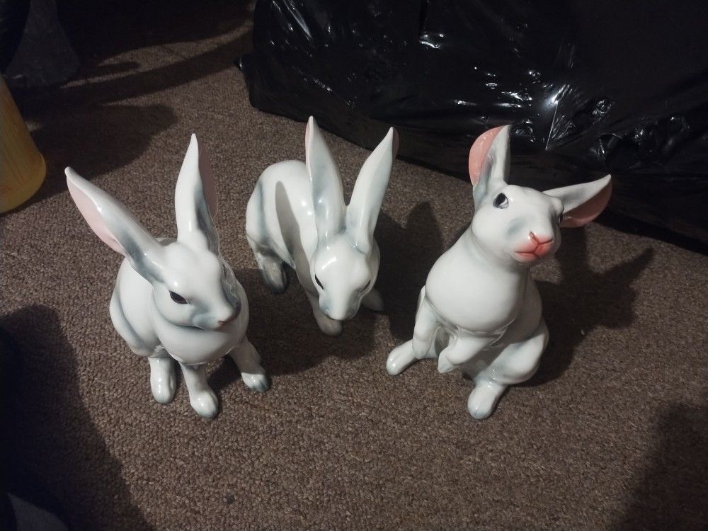 Norleans Rabbits