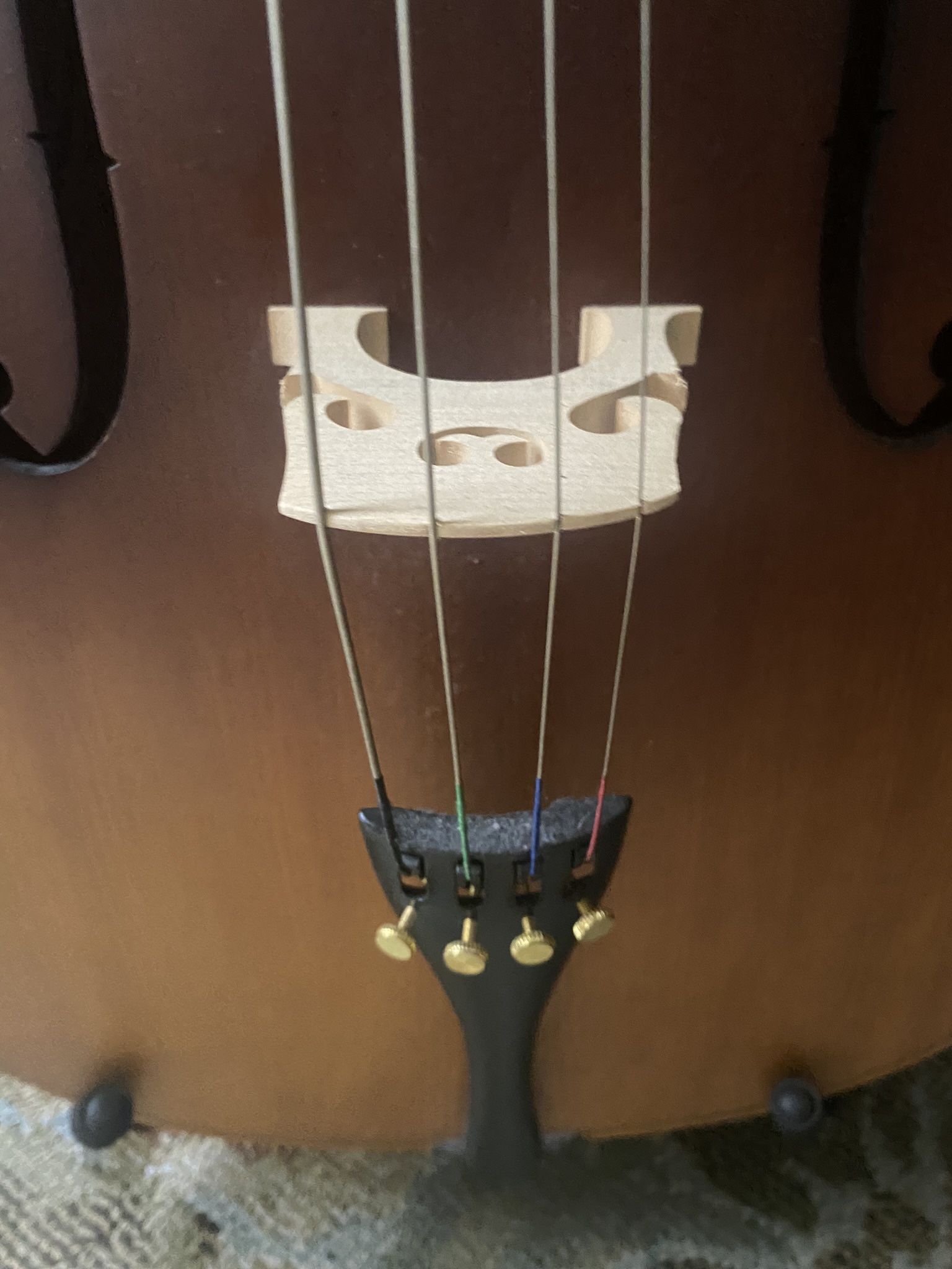 Student Cello