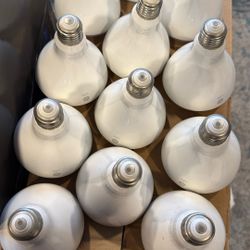 Recessed Light Bulbs Soft White  20 Total 