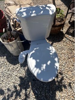 Glacier bay toliet that squirts water