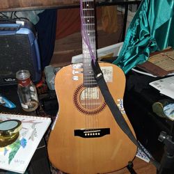 Honer Acoustic Guitar