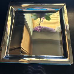 Stainless Steel Tray