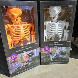 Life Size Skeletons