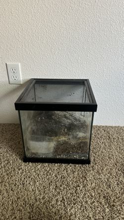 Locking Lid Terrarium