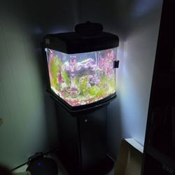 Saltwater Tank