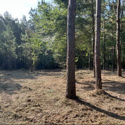 Underbrush Mulching With Hydro Ax