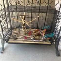 Birds Cage