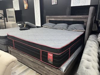 FREE DELIVER SAME DAY 