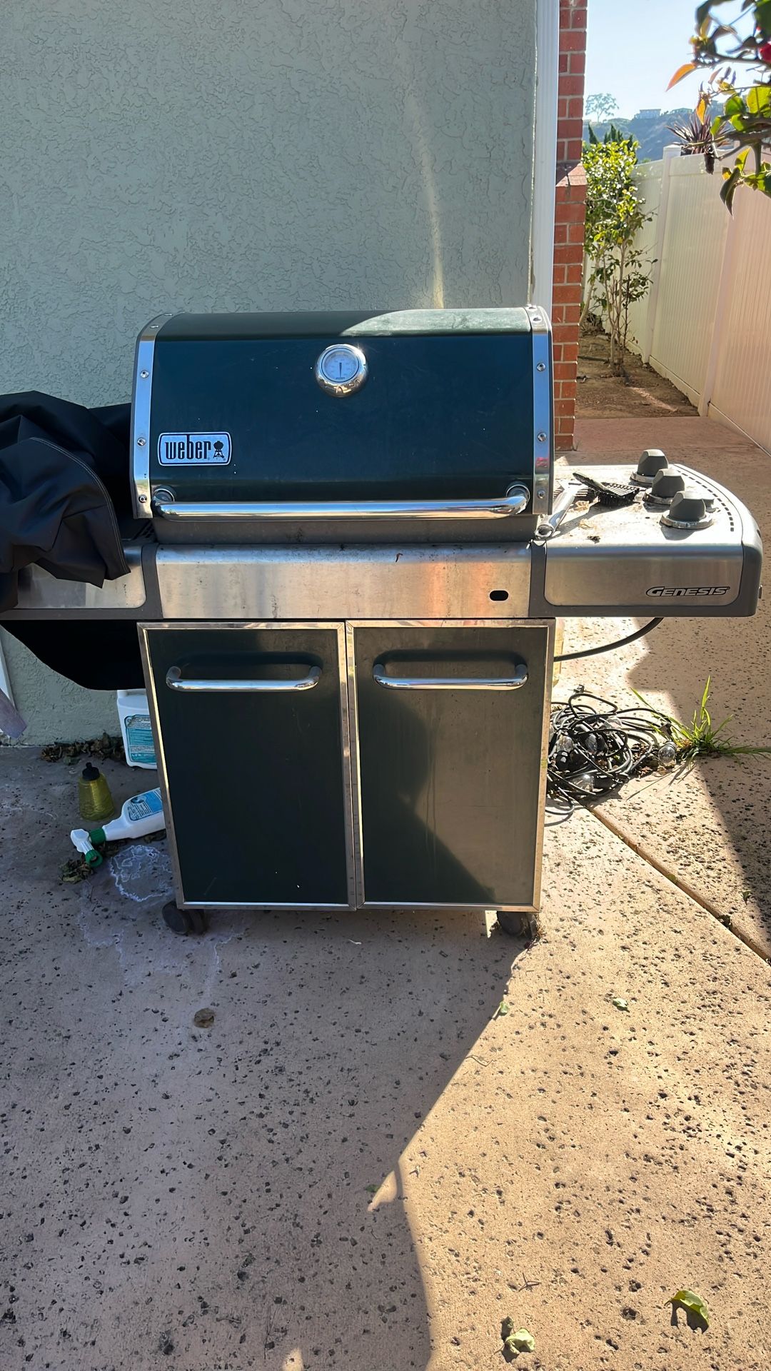 Weber grill
