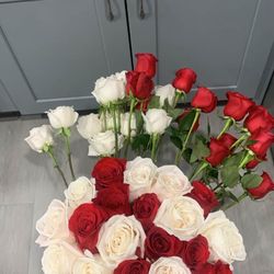 24 Ct Available 7/19 