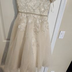 Flower Girl Dress (Size 6)