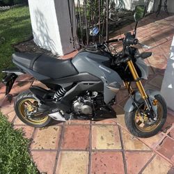 2024 Kawasaki Z125