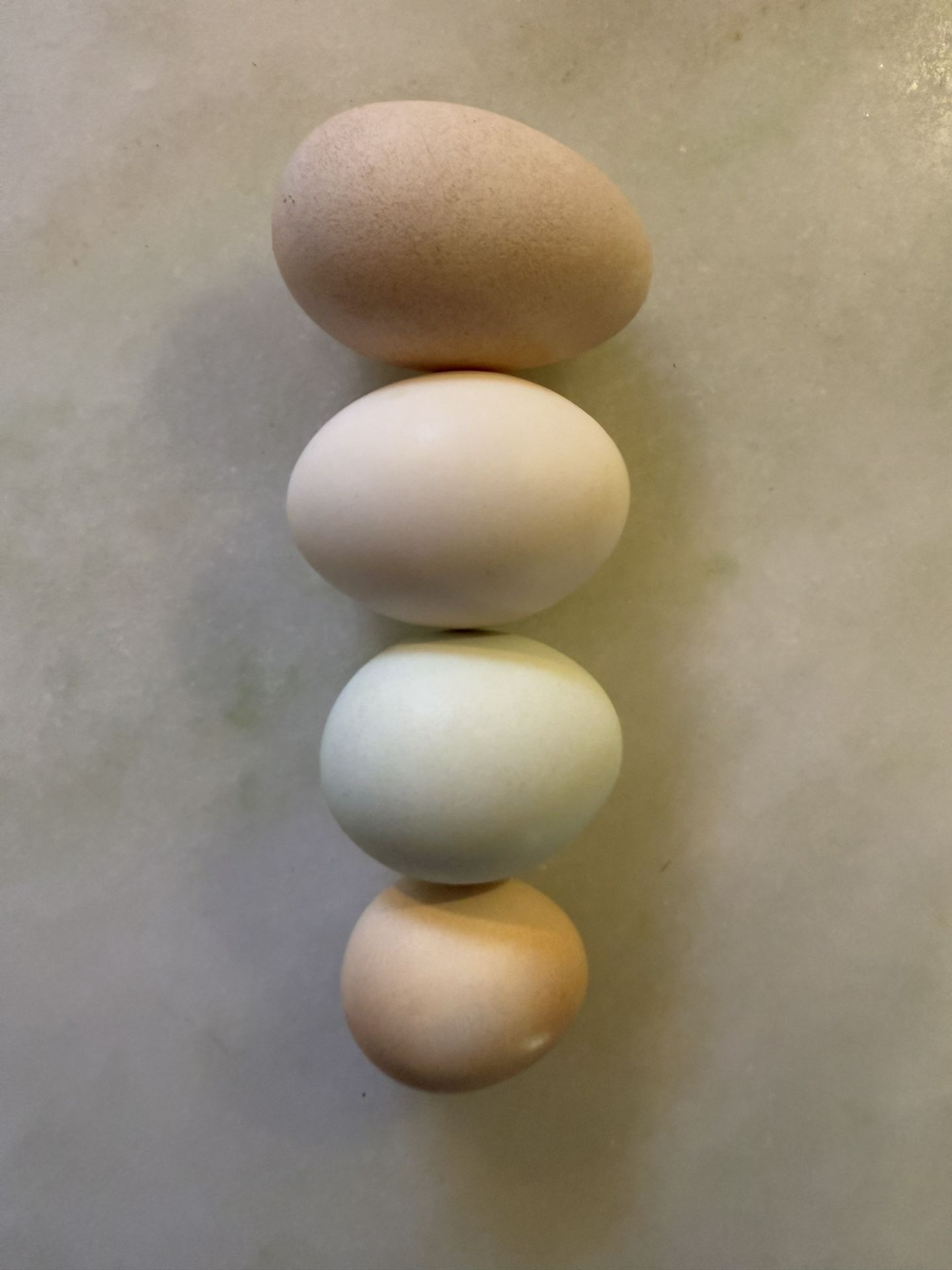 Farm Fresh π₯ From Happy Hens $7 Dozen π³