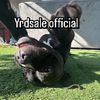 Yrd.sale