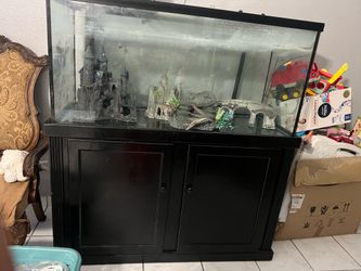 80 Gallon Fish Tank
