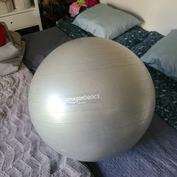 Exercise Ball