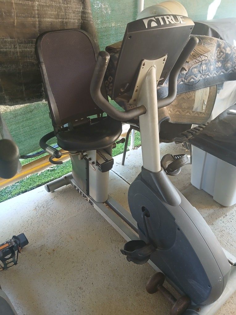 TRUE Exercise Bike Therepetical