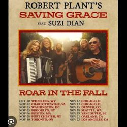 Two 11/03 ROBERT PLANT tickets For Sale 