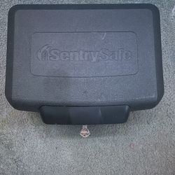 sentry Safe Lock Box 