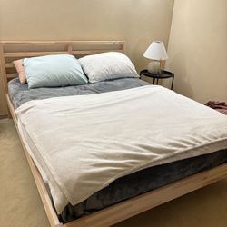 Queen Bed Frame & Mattress