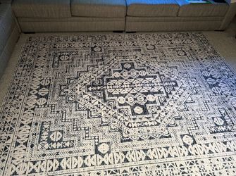 Beautiful Large Rug - Barely Used Very Clean