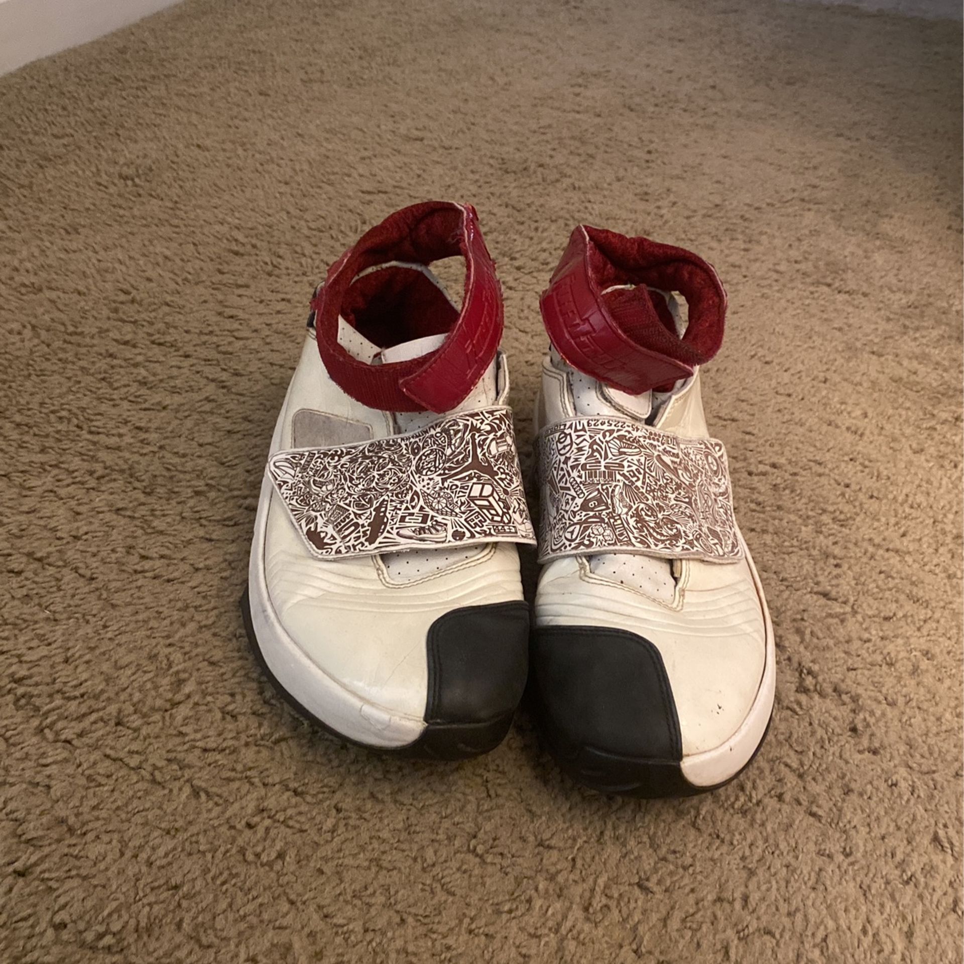 Air Jordan 20s