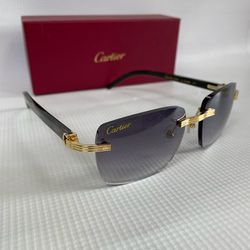 Cartier Sunglasses Buffs 👓 