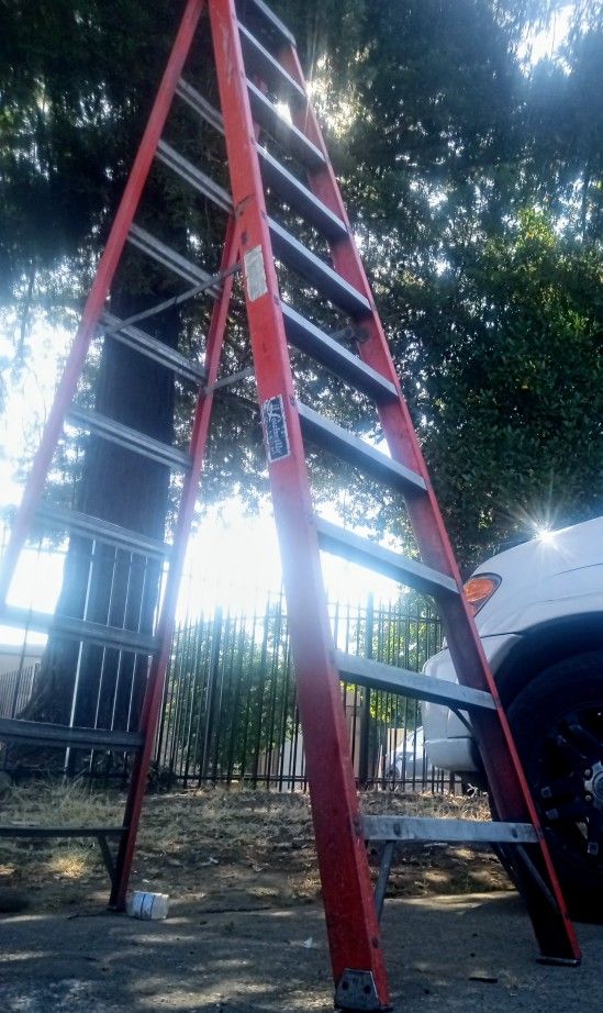 10 Foot Fiberglass Louisville Ladder Sturdy