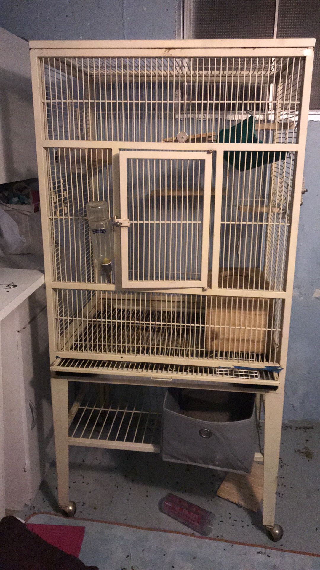 Bird cage ferret chinchilla