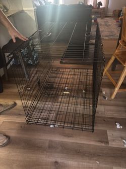 Dog Cage