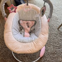 Disney Baby Bouncer
