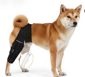Dog Knee Brace for Hind Leg – Adjustable Rear Leg Support with 2 PP Resin Bars, Helps Torn ACL, Ligament Injuries, Luxating Patella & Hip Dysplasia Re